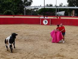 La capea auna de igual forma valor y diversin